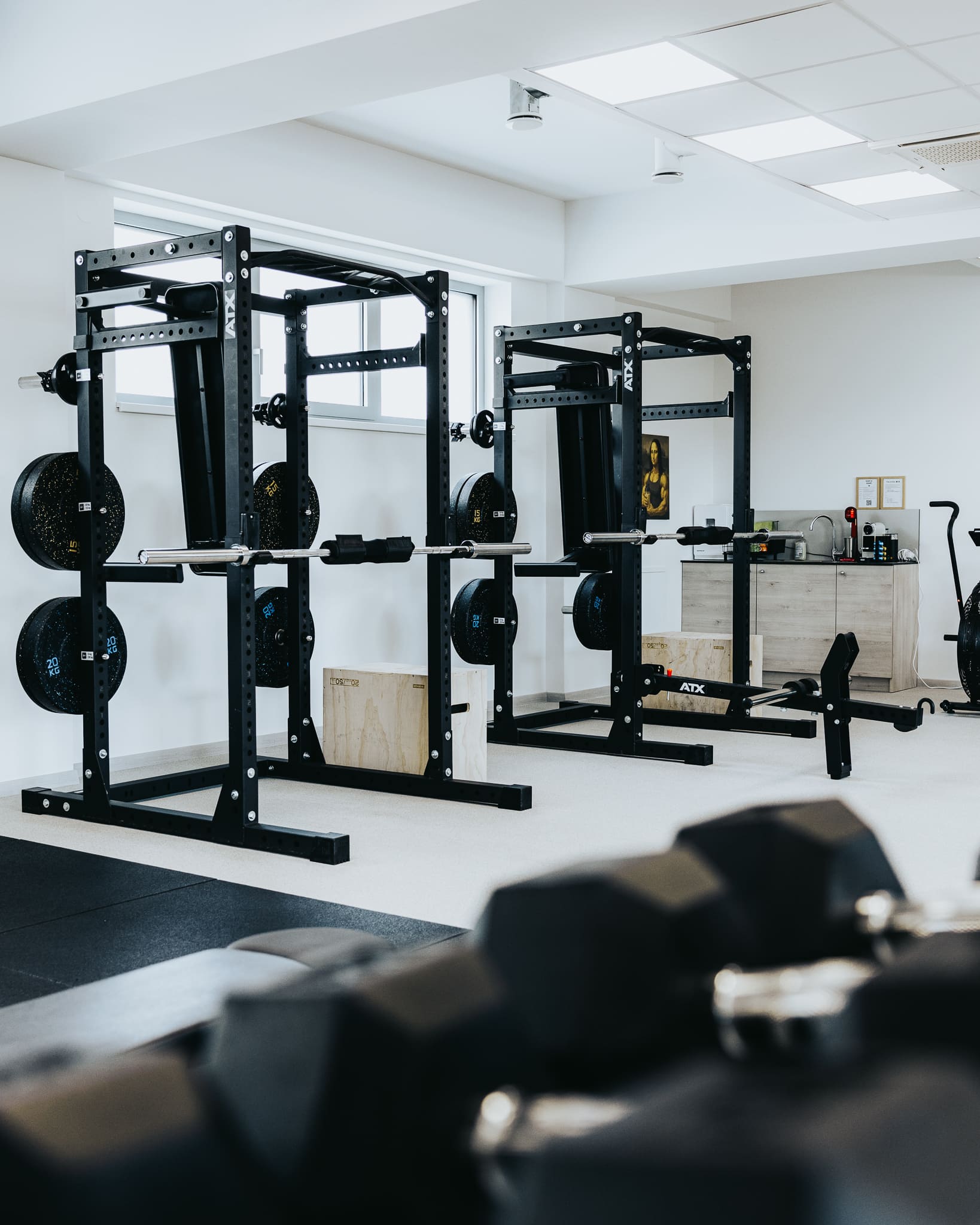Profesionalna kletka in squat rack postaja za proste uteži
